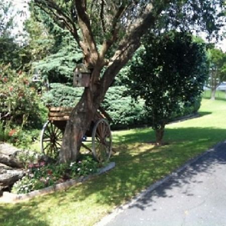 Dargaville Motel Exteriör bild