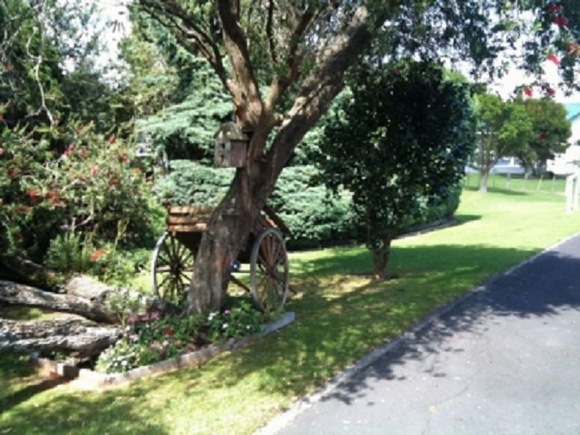 Dargaville Motel Exteriör bild
